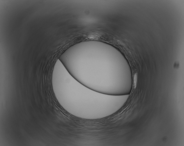 X0000094801443200711160929
