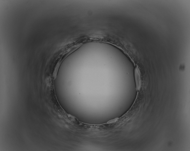 X0000094801445200711160929
