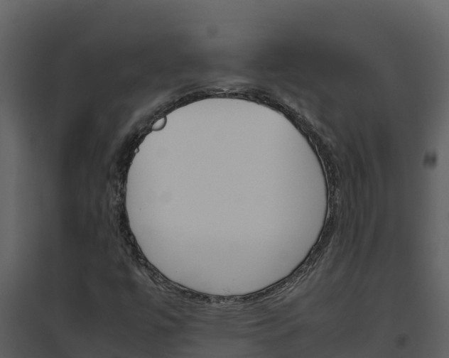 X0000094801447200711160929