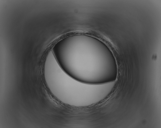 X0000094801448200711160929