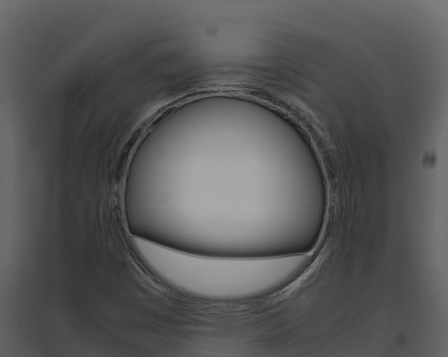 X0000094801449200711160929