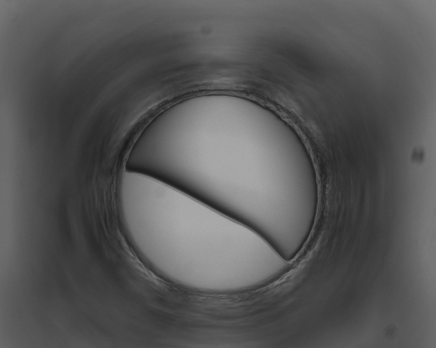X0000094801450200711160929