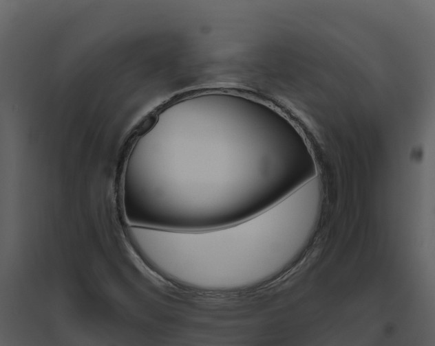 X0000094801452200711160929