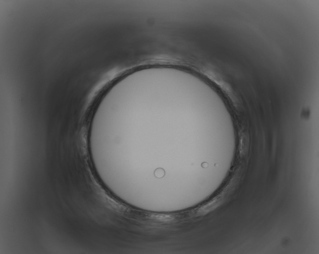 X0000094801454200711160929