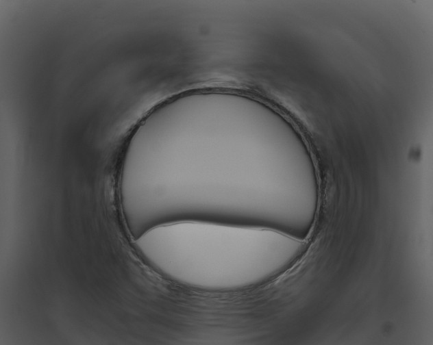 X0000094801455200711160929