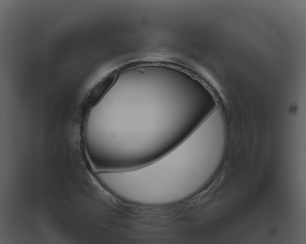X0000094801456200711160929