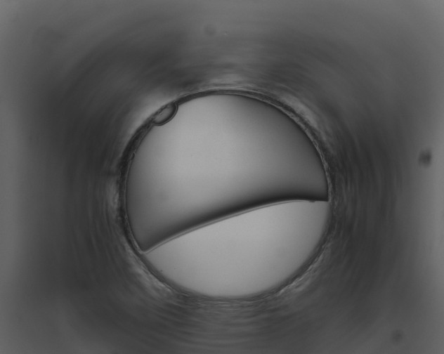 X0000094801458200711160929