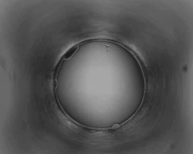 X0000094801460200711160929