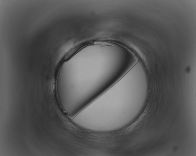 X0000094801461200711160929