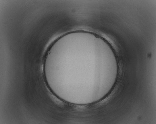 X0000094801462200711160929