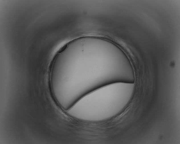 X0000094801463200711160929