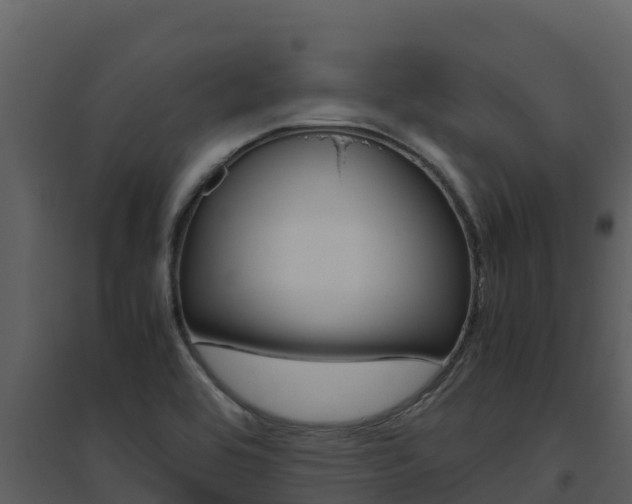 X0000094801464200711160929