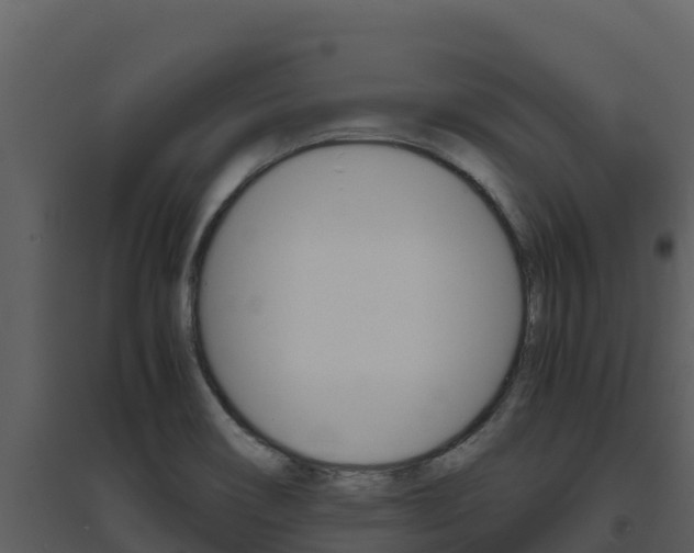 X0000094801466200711160929