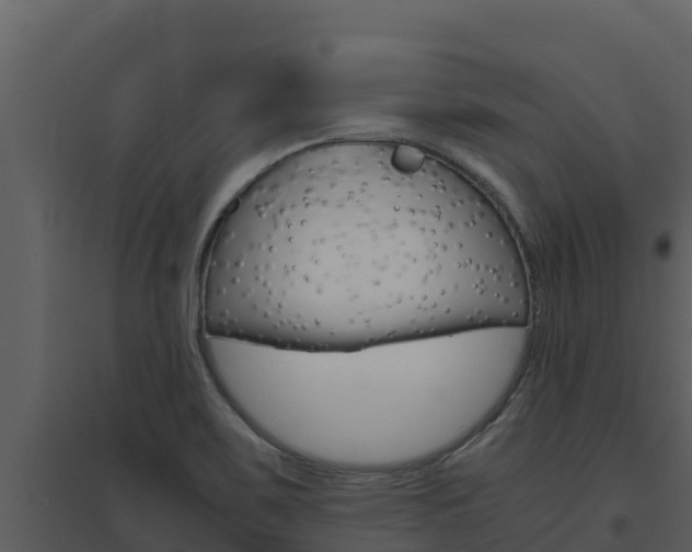 X0000094801467200711160929