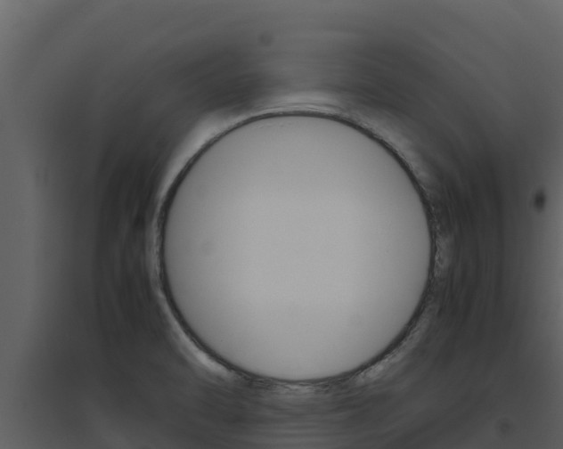 X0000094801470200711160929