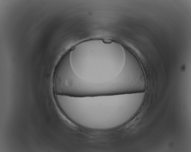 X0000094801471200711160929