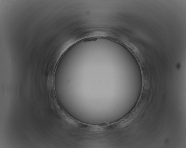 X0000094801473200711160929