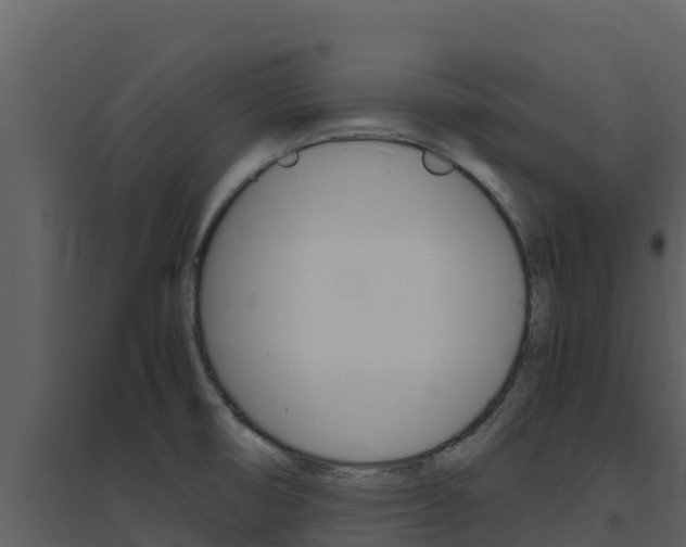 X0000094801474200711160929