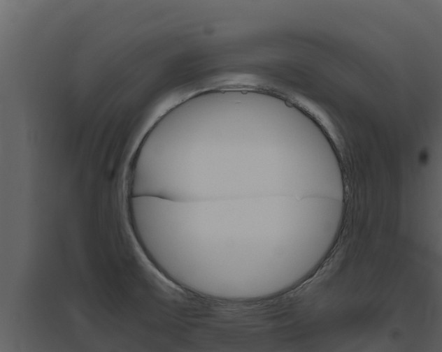 X0000094801475200711160929