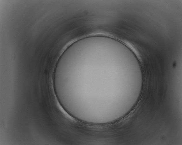 X0000094801476200711160929