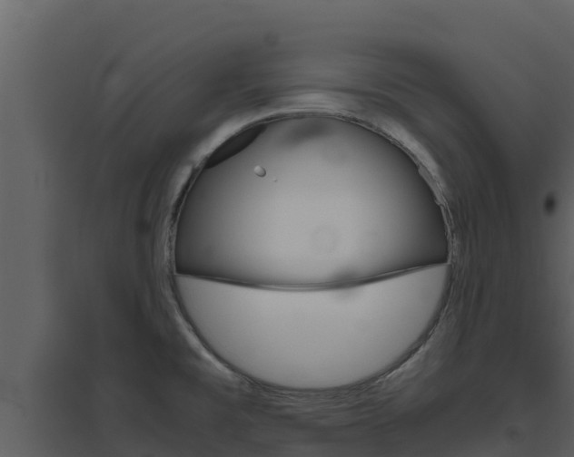 X0000094801477200711160929
