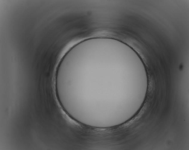 X0000094801478200711160929