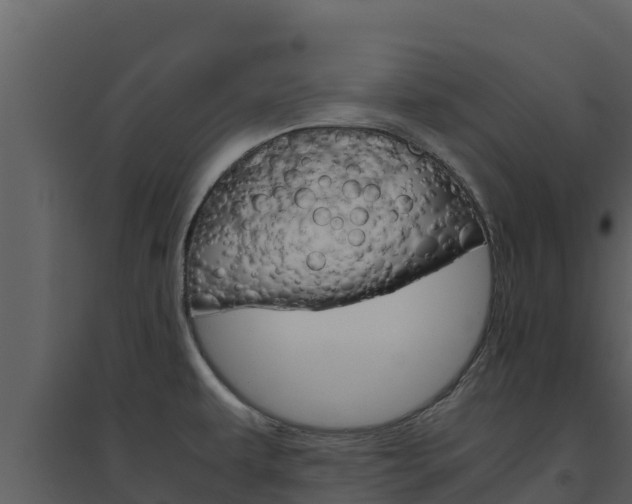 X0000094801479200711160929