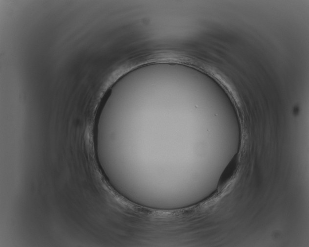 X0000094801481200711160929