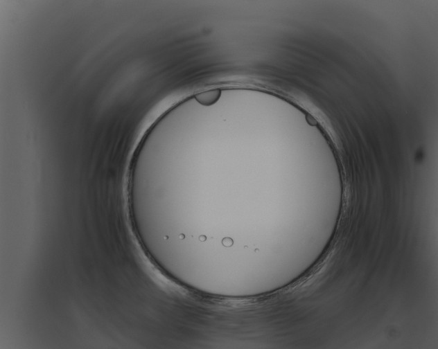 X0000094801482200711160929