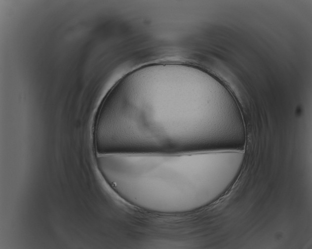 X0000094801483200711160929