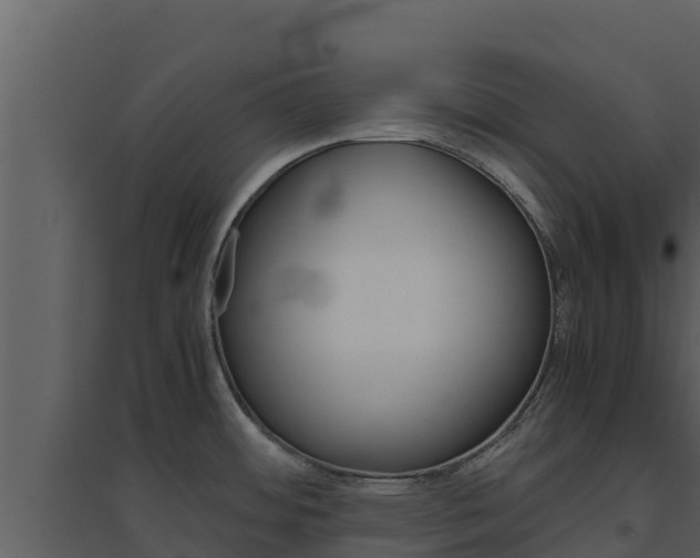 X0000094801484200711160928
