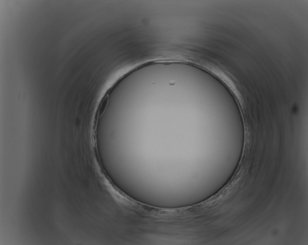 X0000094801485200711160928