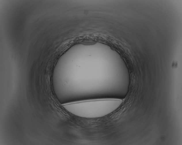 X0000094801489200711160928