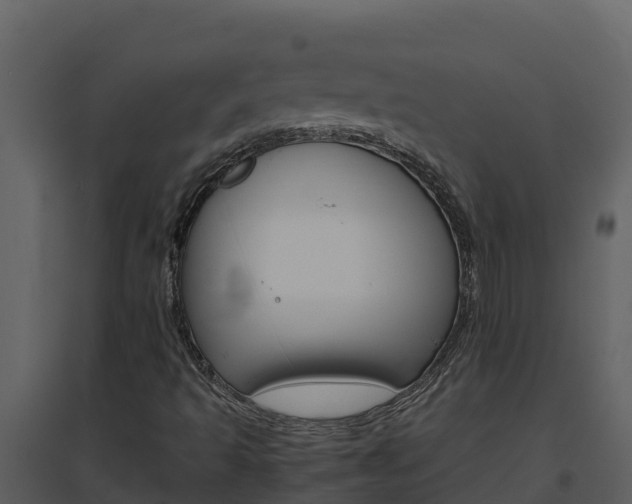 X0000094801493200711160928