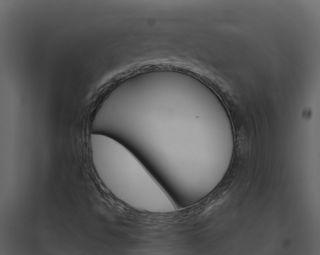 X0000094801494200711160928