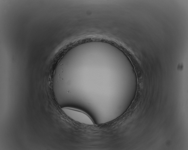 X0000094801495200711160928