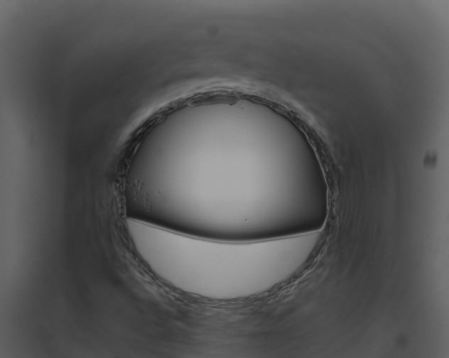 X0000094801496200711160928