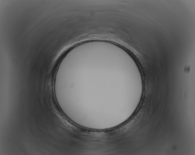 X0000094801498200711160928