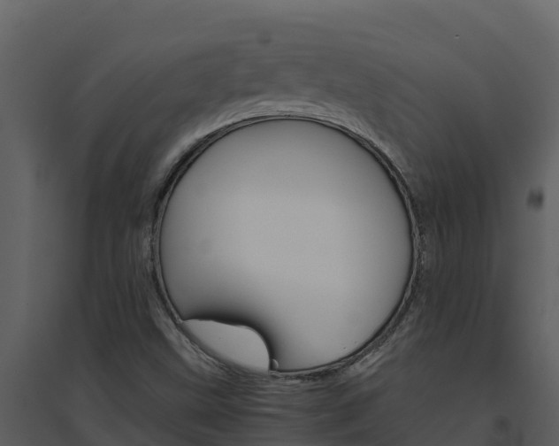 X0000094801499200711160928
