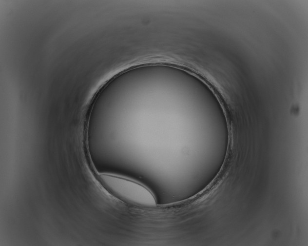 X0000094801500200711160928