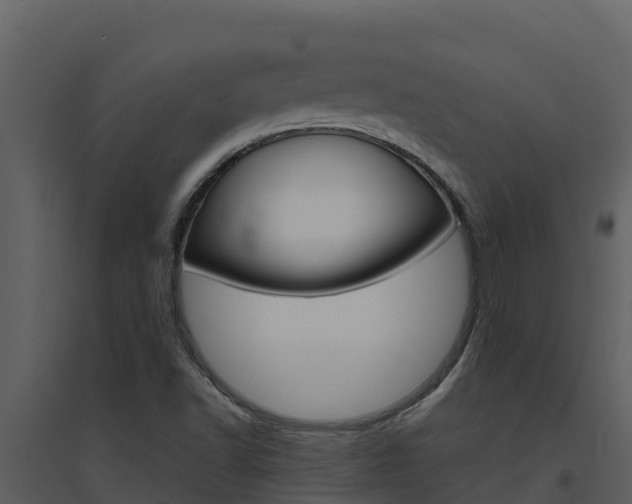 X0000094801502200711160928