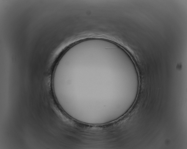 X0000094801503200711160928