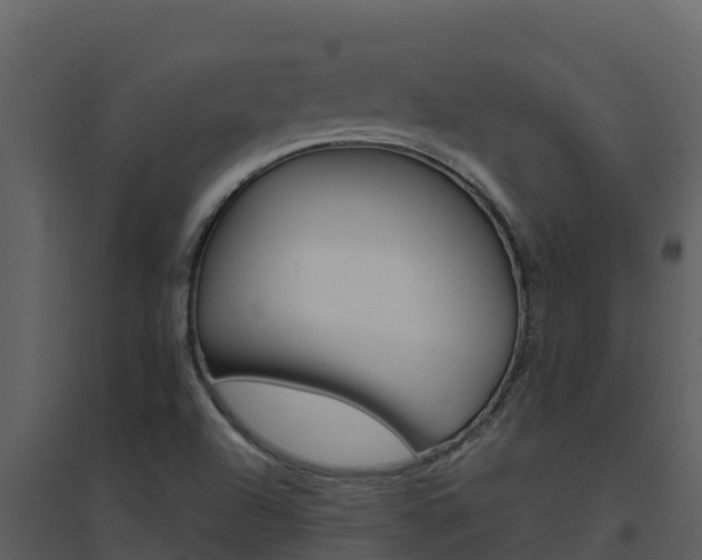 X0000094801504200711160928