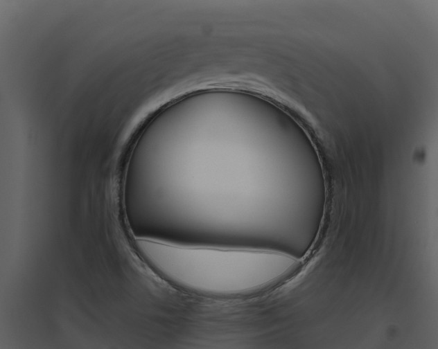 X0000094801506200711160928