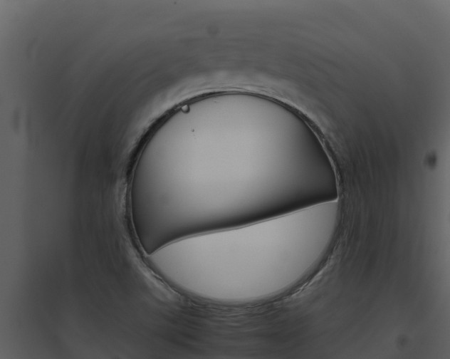 X0000094801507200711160928