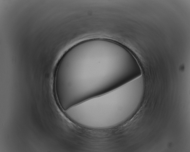 X0000094801508200711160928