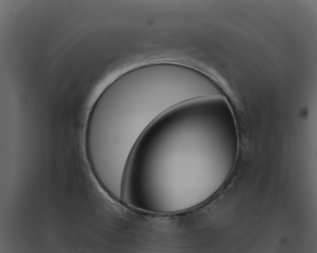 X0000094801512200711160928