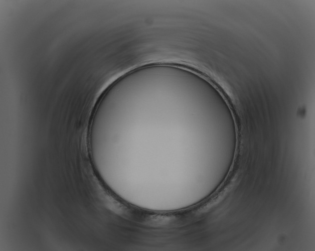 X0000094801513200711160928