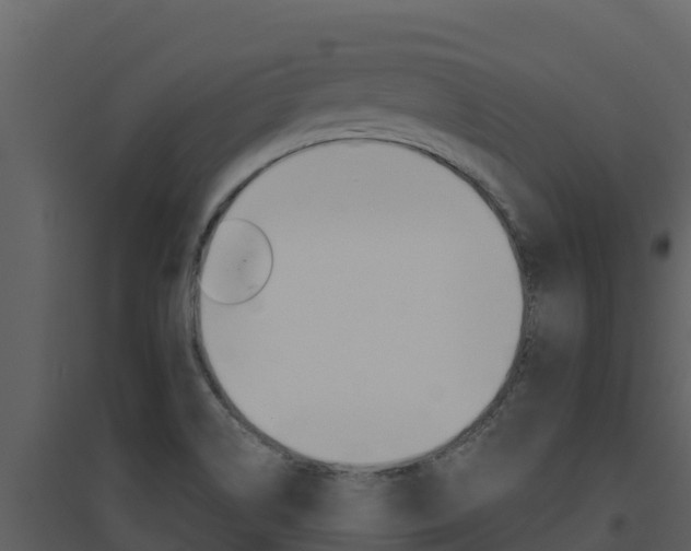 X0000094801514200711160928