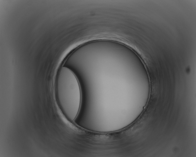 X0000094801515200711160928